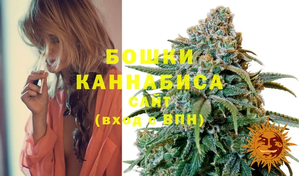 гидропоника Богданович