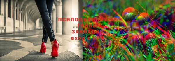 каннабис Белокуриха