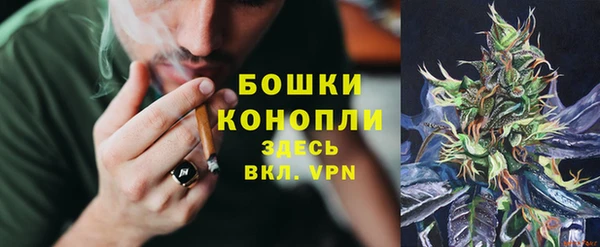 гидропоника Богданович